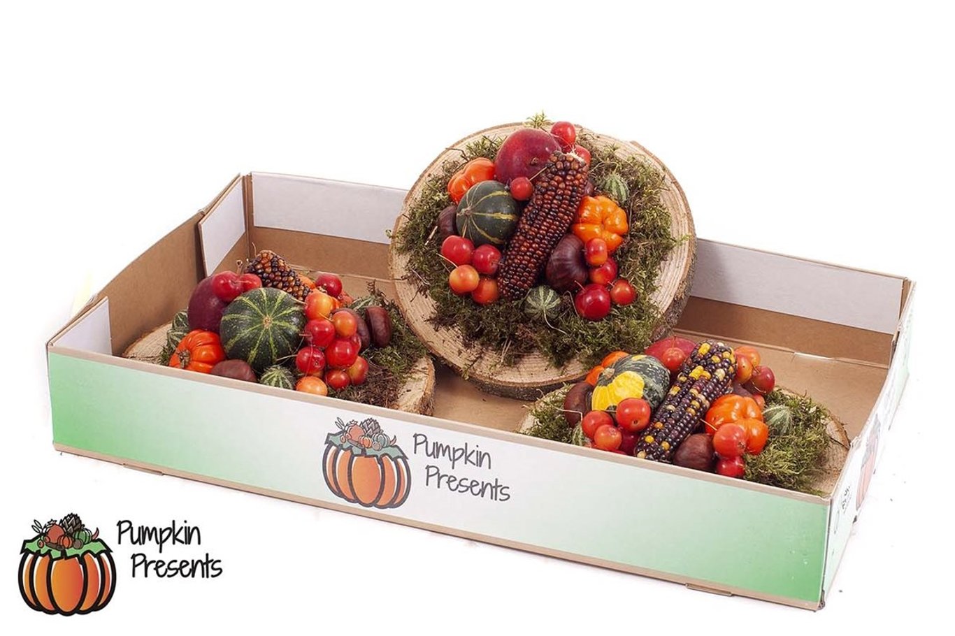 Pumpkin arrangement wooddisk 20cm. - C1,5